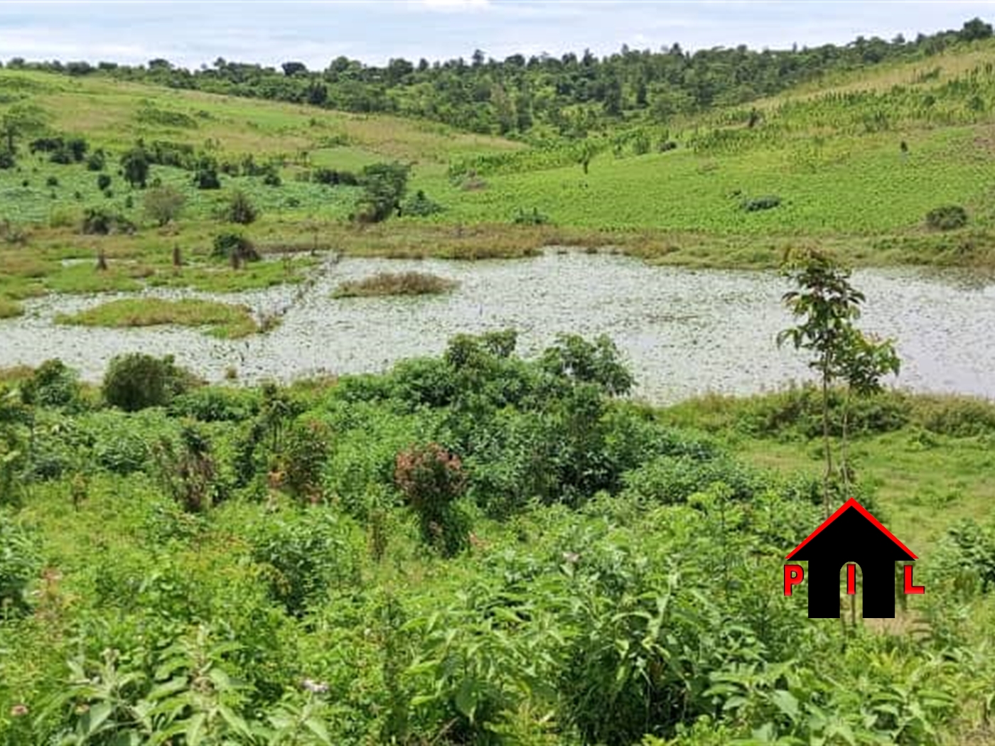 Commercial Land for sale in Kyenda Mubende