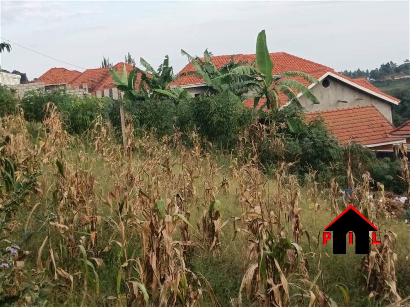 Residential Land for sale in Akright Wakiso