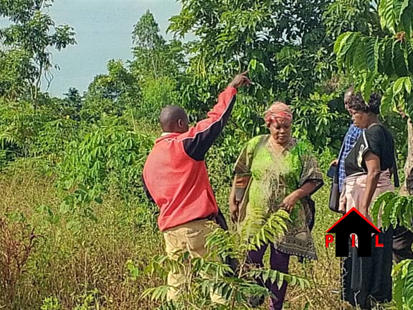 Agricultural Land for sale in Ndejje Luweero