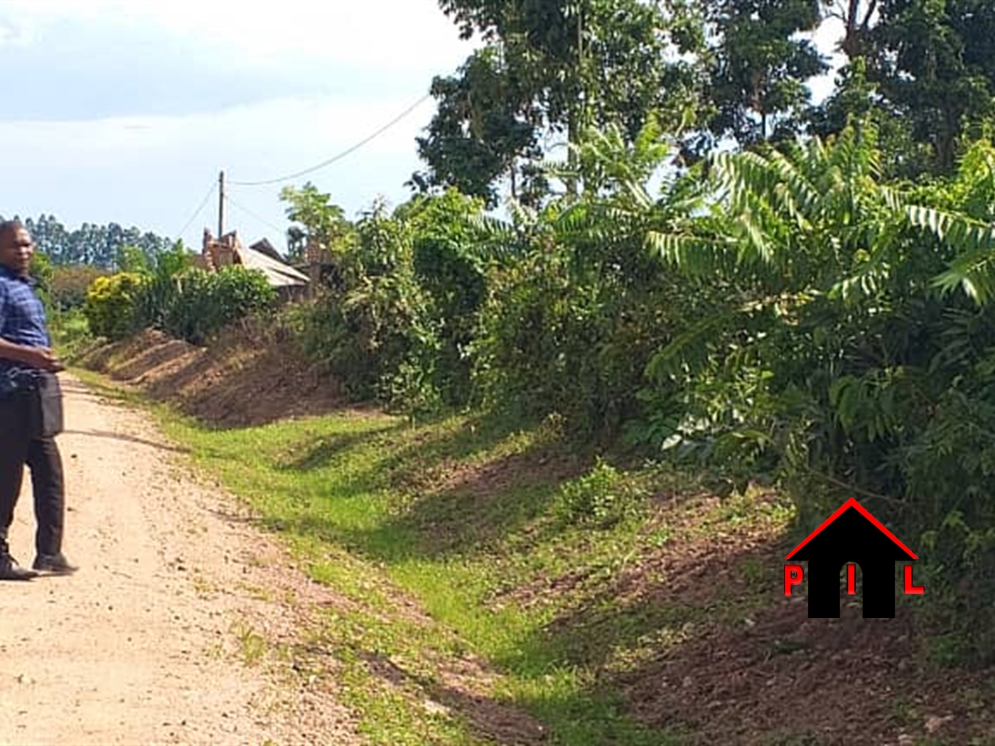 Agricultural Land for sale in Ndejje Luweero