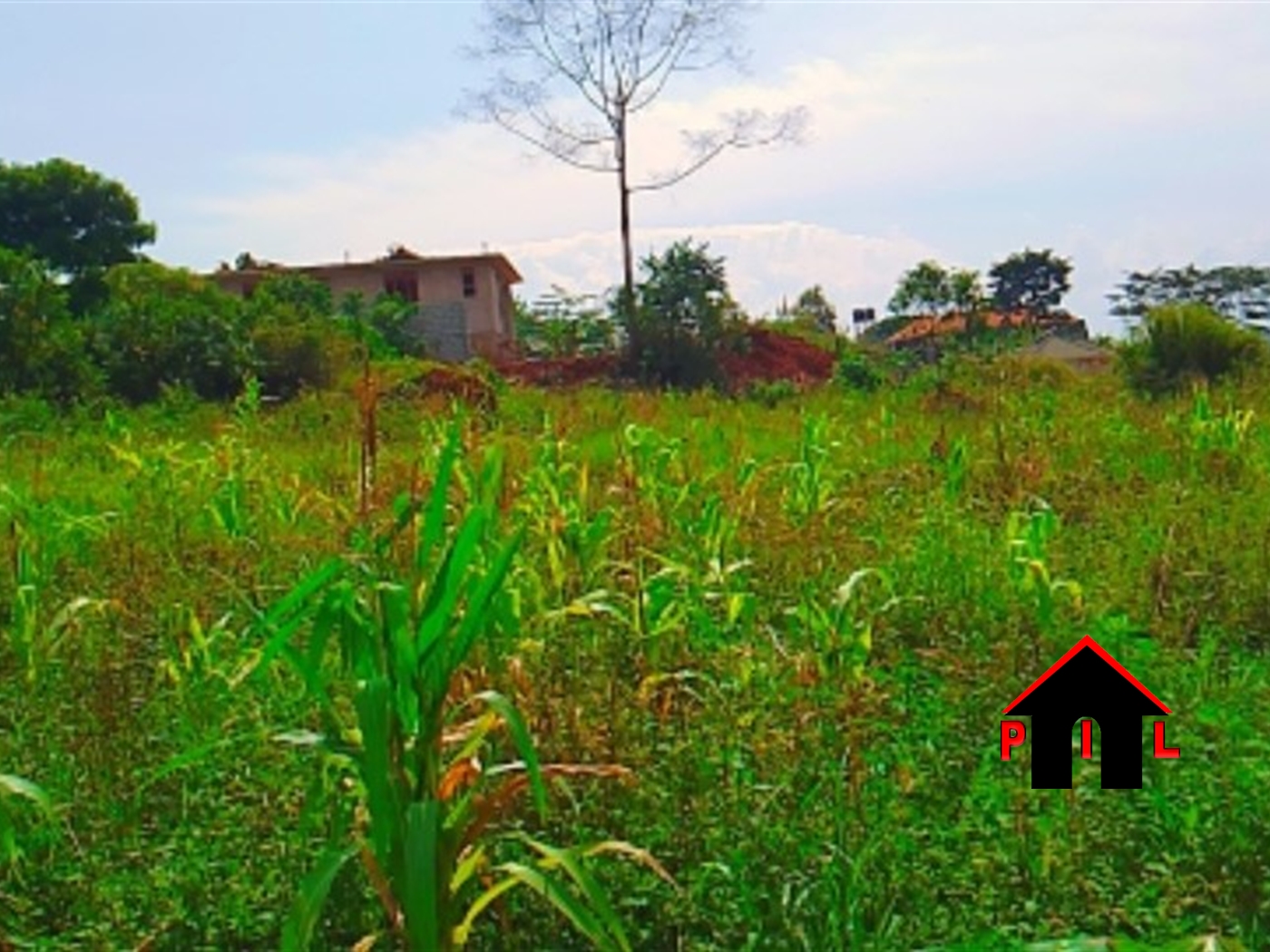 Residential Land for sale in Kira Wakiso