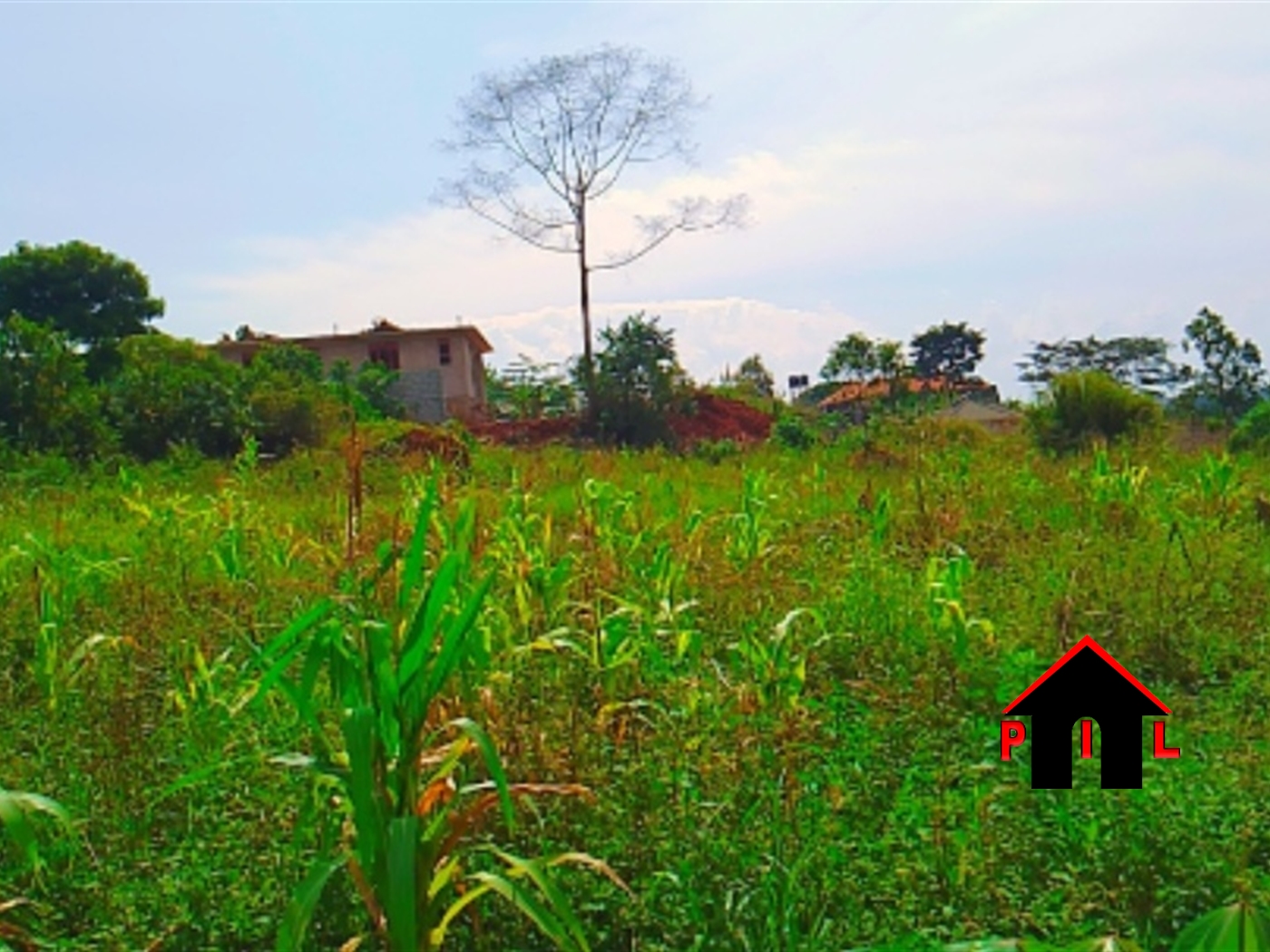 Residential Land for sale in Kira Wakiso