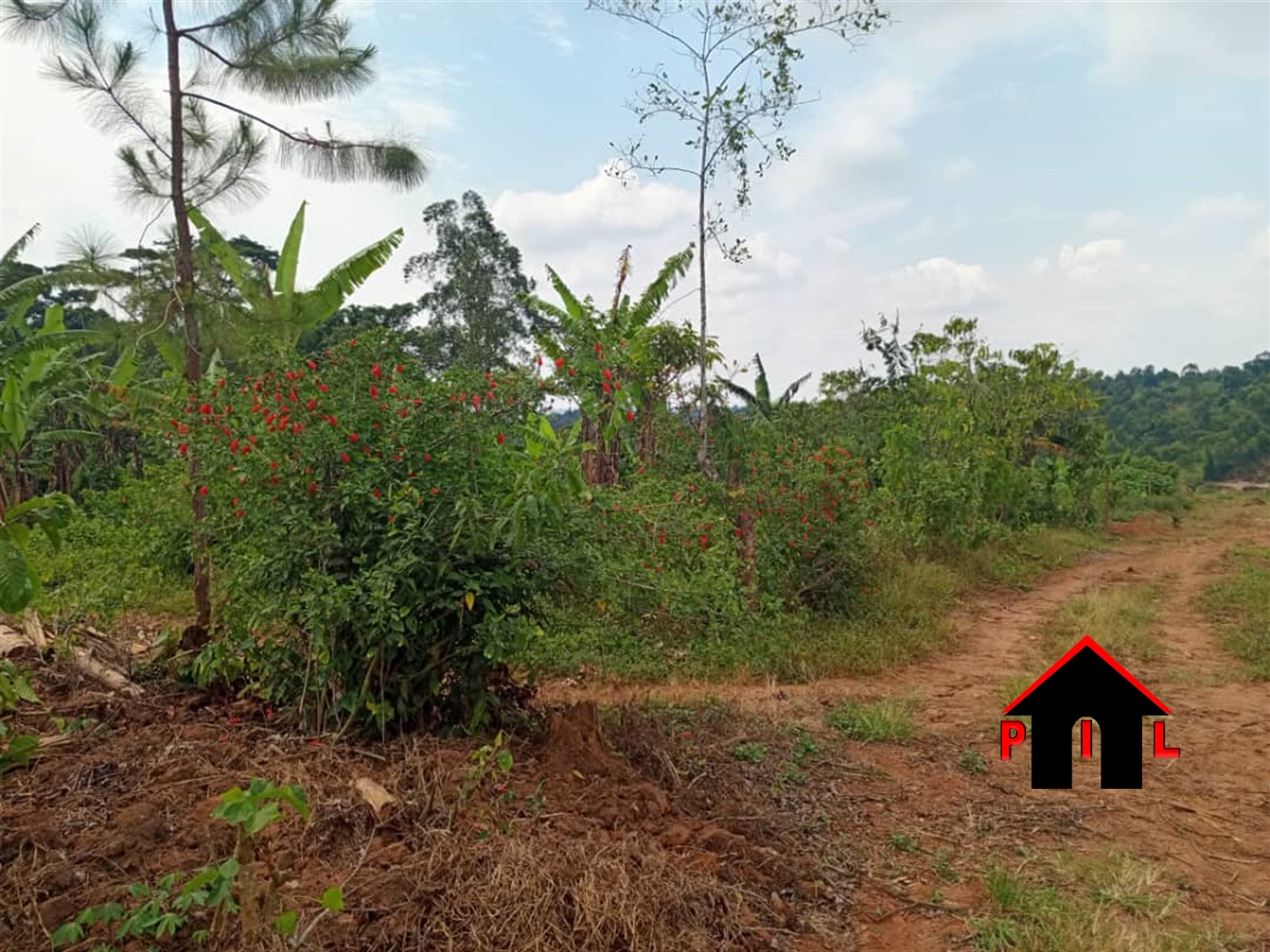 Residential Land for sale in Kitende Wakiso