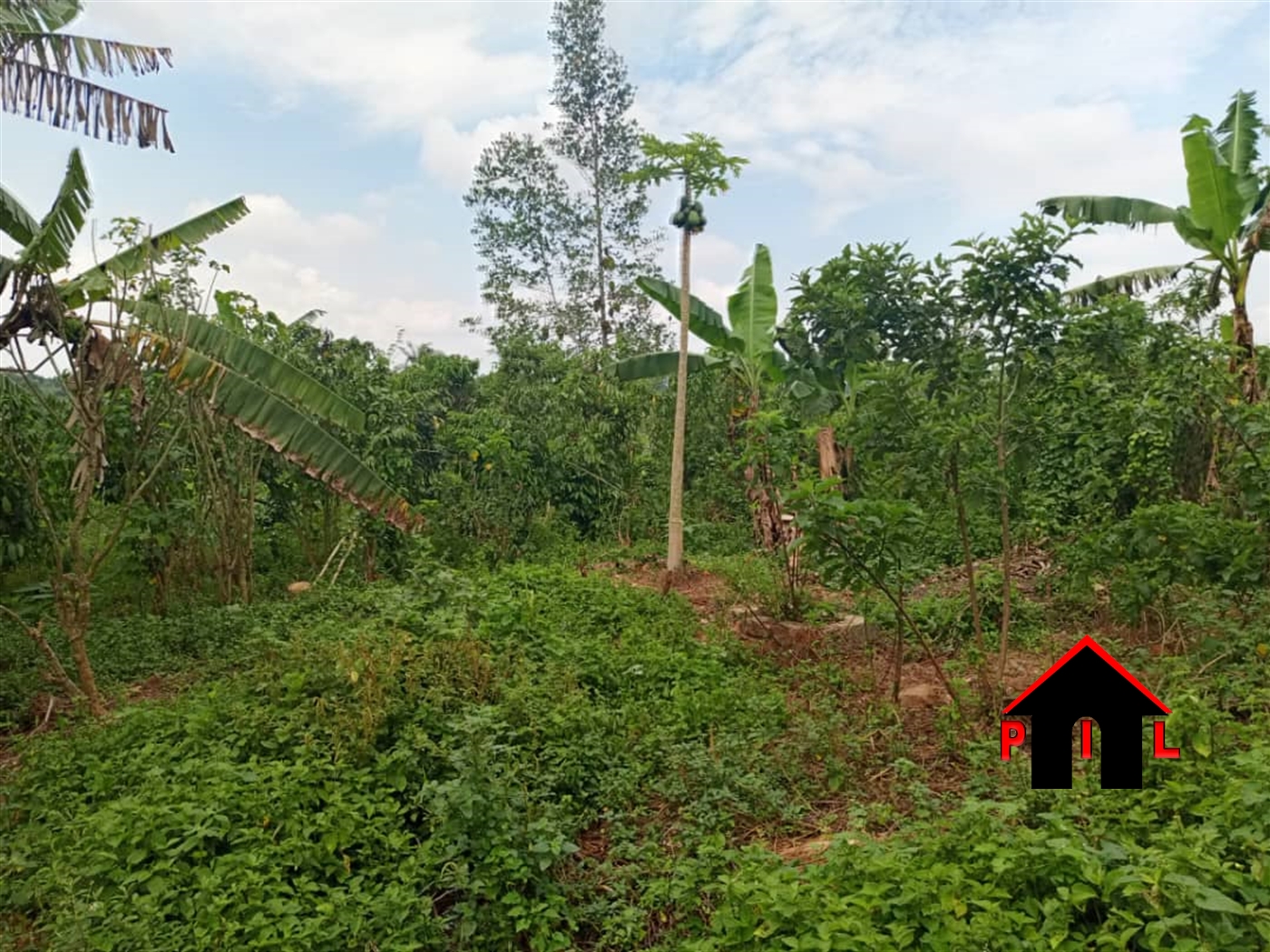 Residential Land for sale in Bakka Wakiso