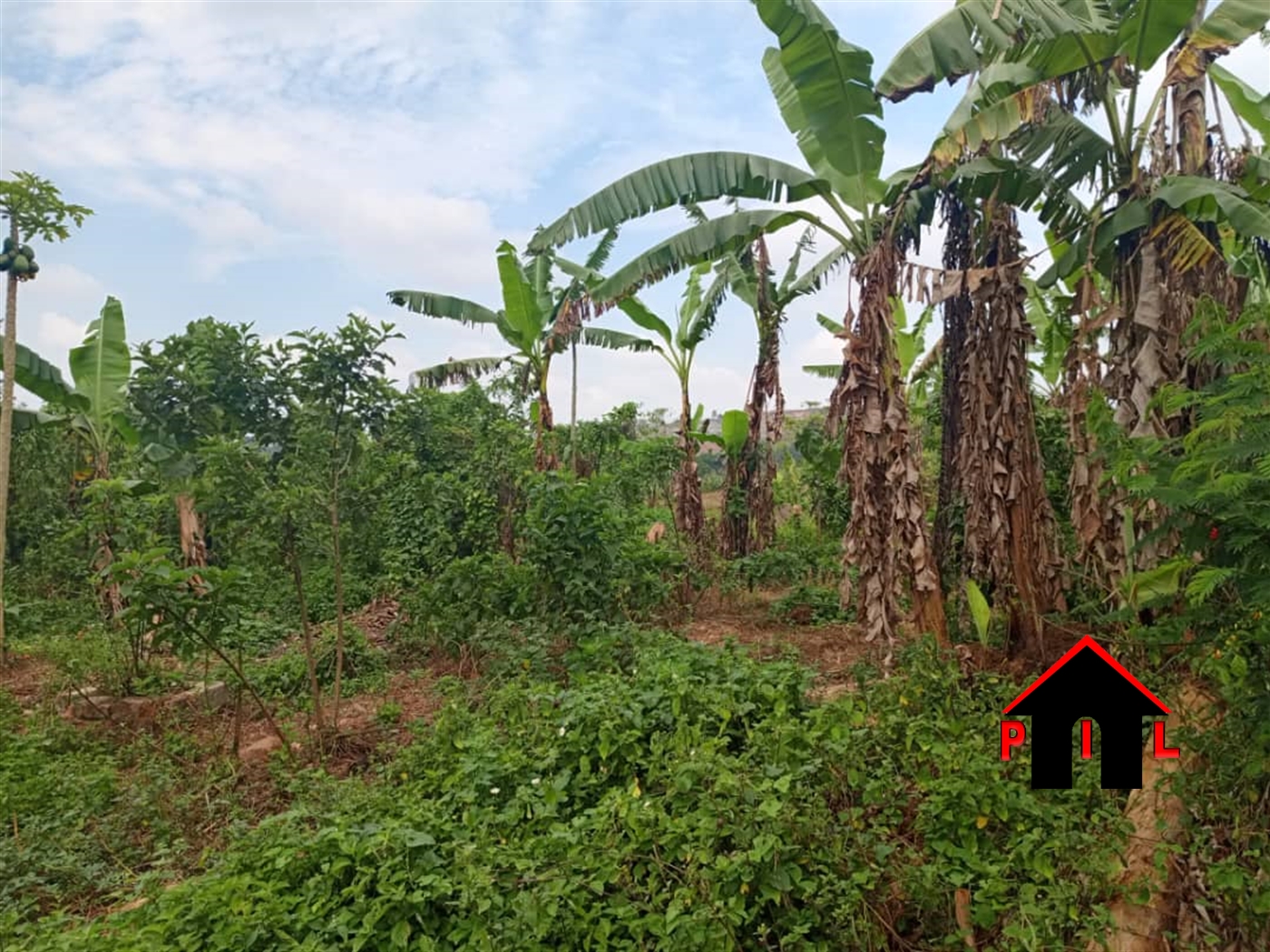 Residential Land for sale in Bakka Wakiso