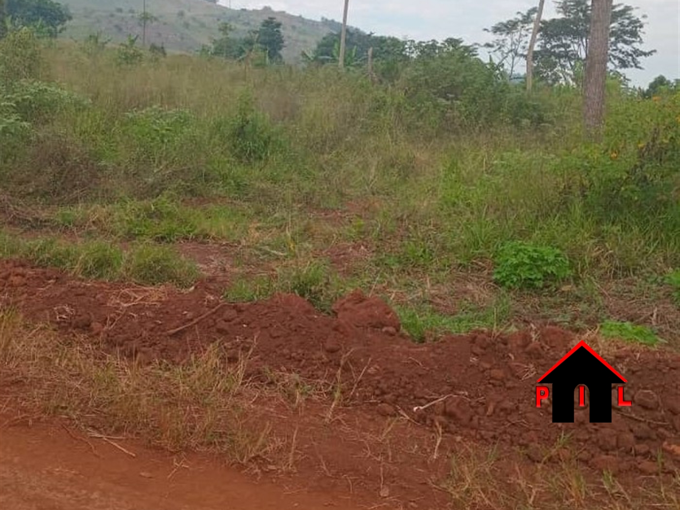 Commercial Land for sale in Nazigo Mukono