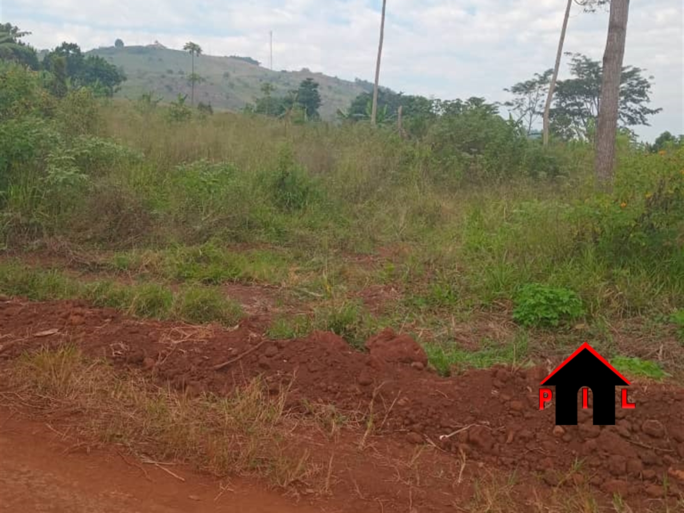 Commercial Land for sale in Nazigo Mukono