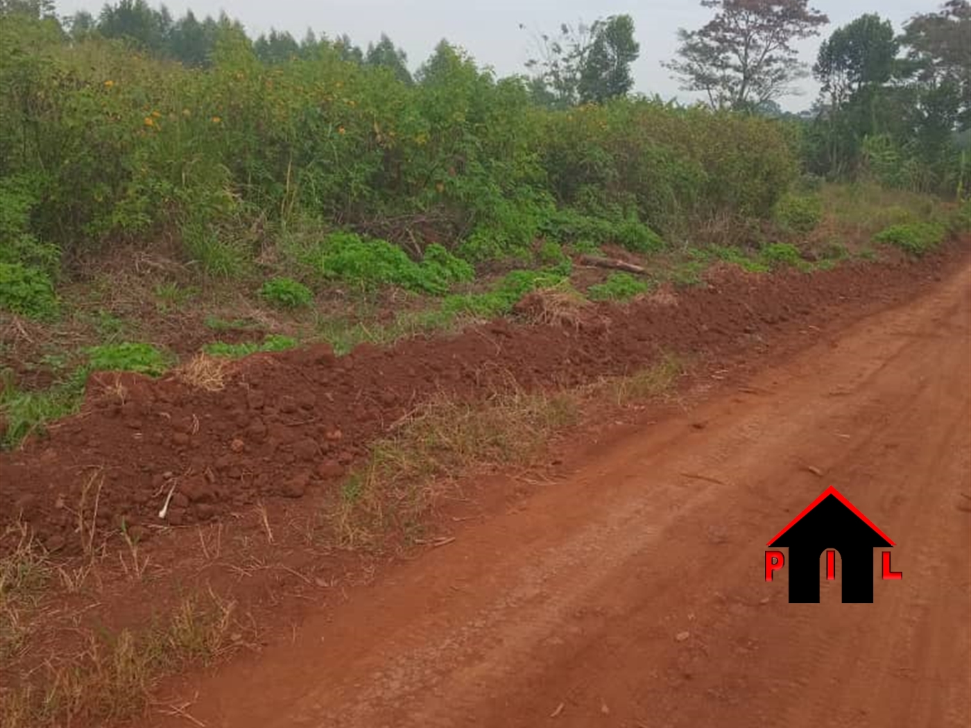 Commercial Land for sale in Nazigo Mukono