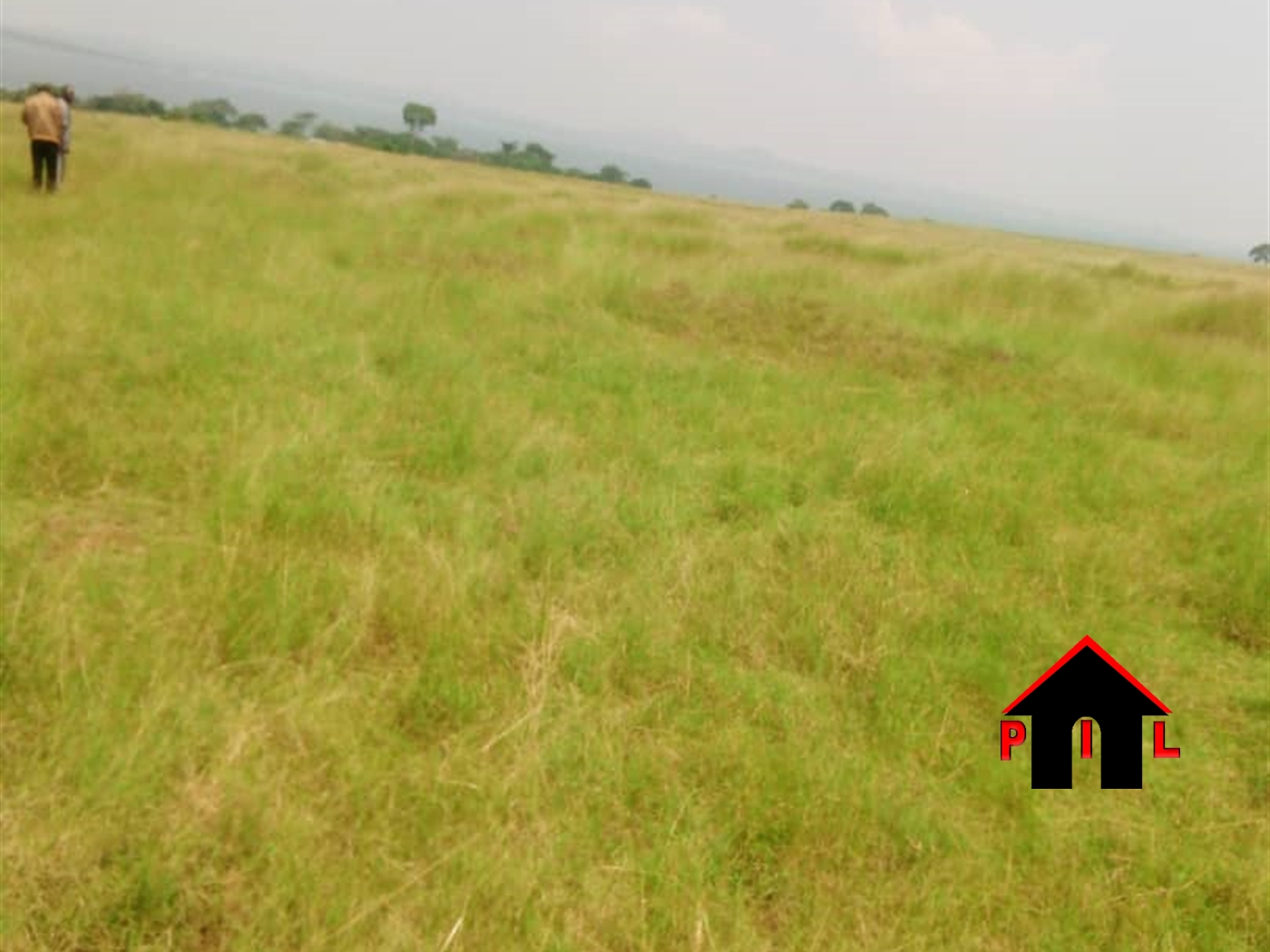 Commercial Land for sale in Mayugetwn Mayuge