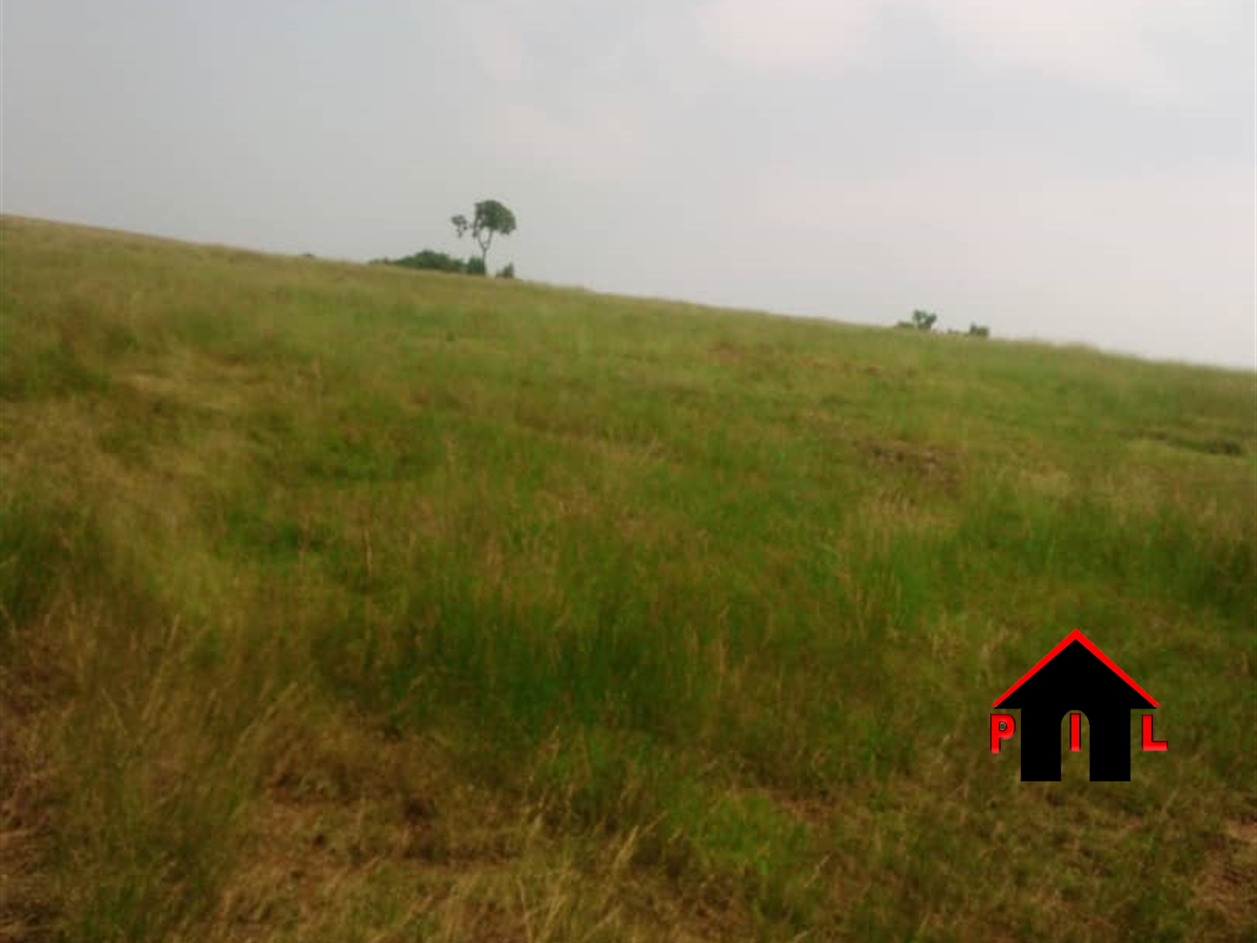 Commercial Land for sale in Mayugetwn Mayuge