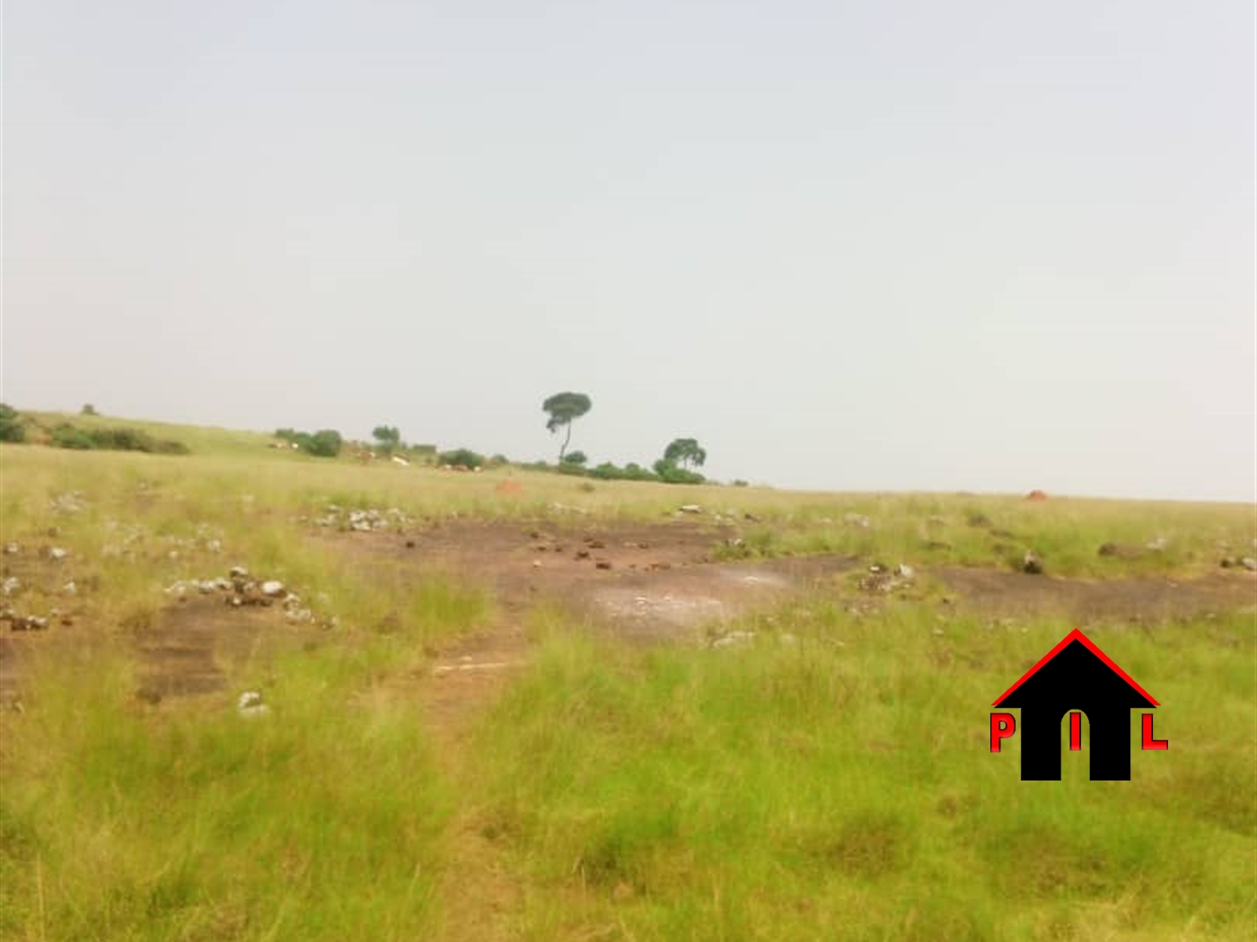 Commercial Land for sale in Mayugetwn Mayuge