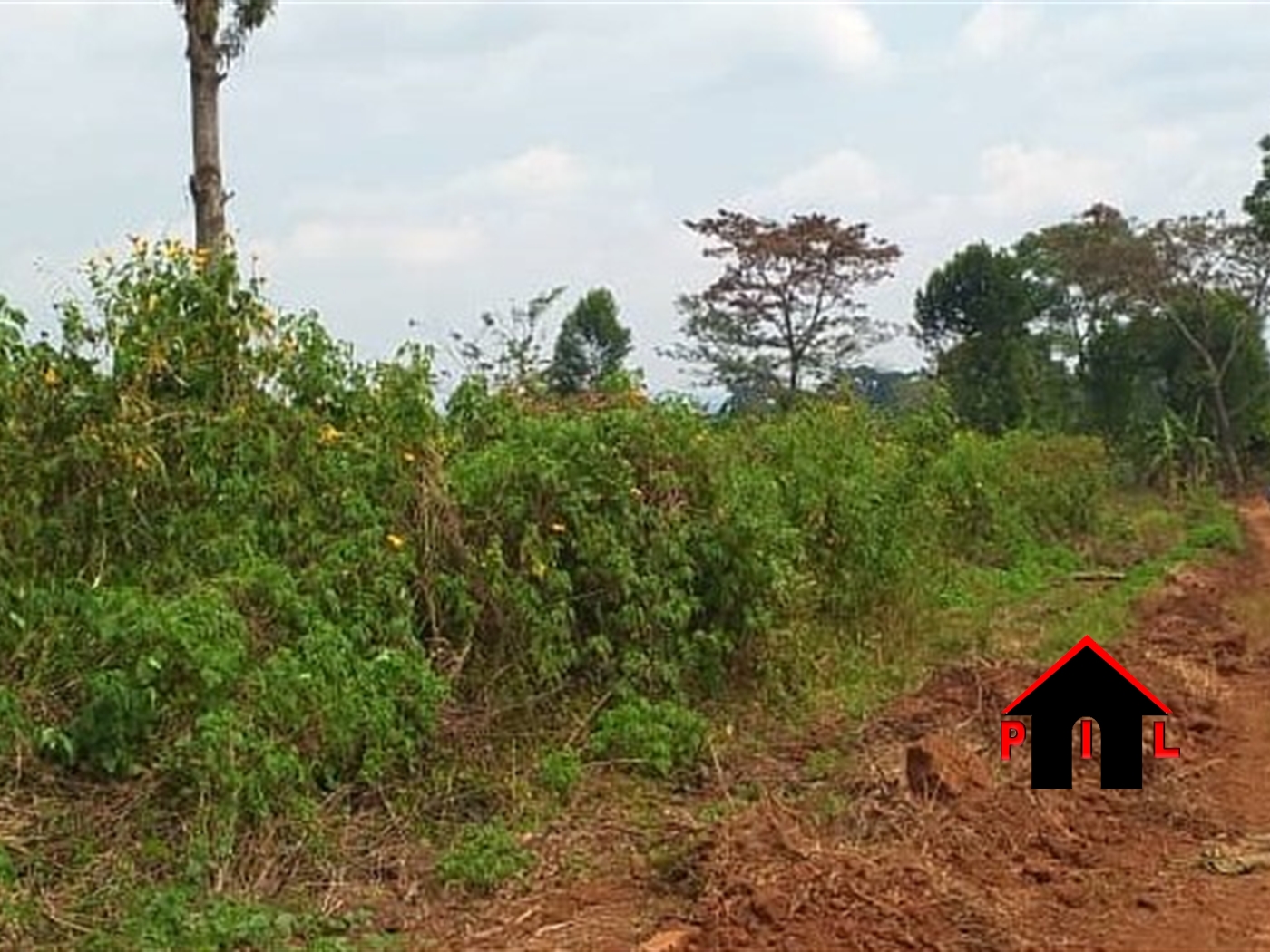 Commercial Land for sale in Mbalala Mukono