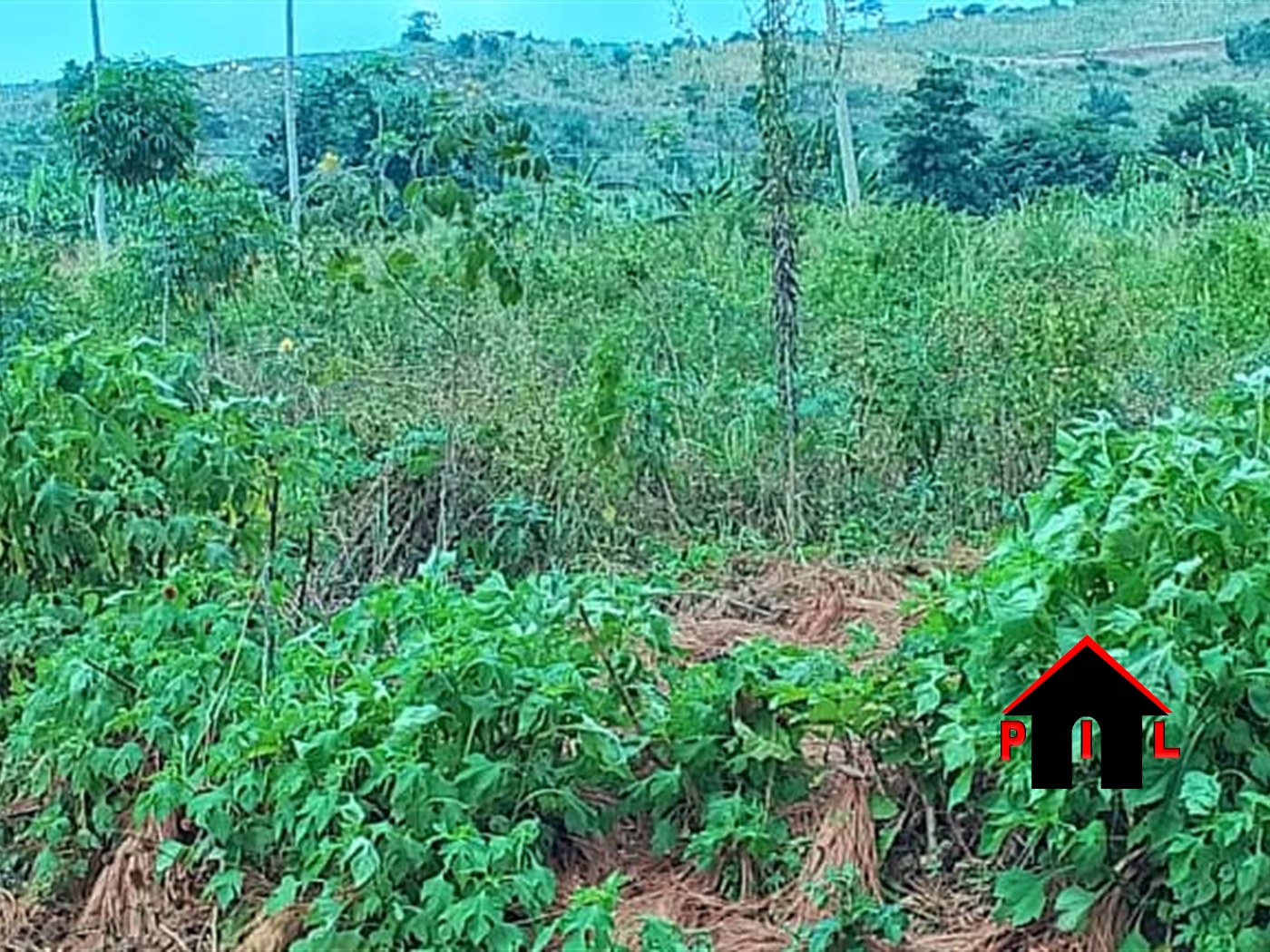 Commercial Land for sale in Mbalala Mukono