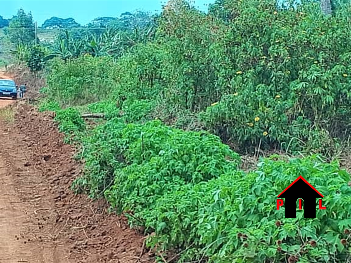 Commercial Land for sale in Mbalala Mukono