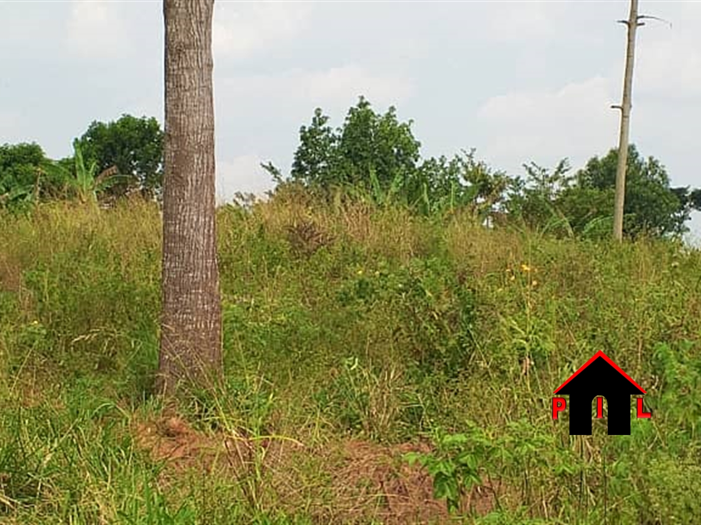 Commercial Land for sale in Mbalala Mukono