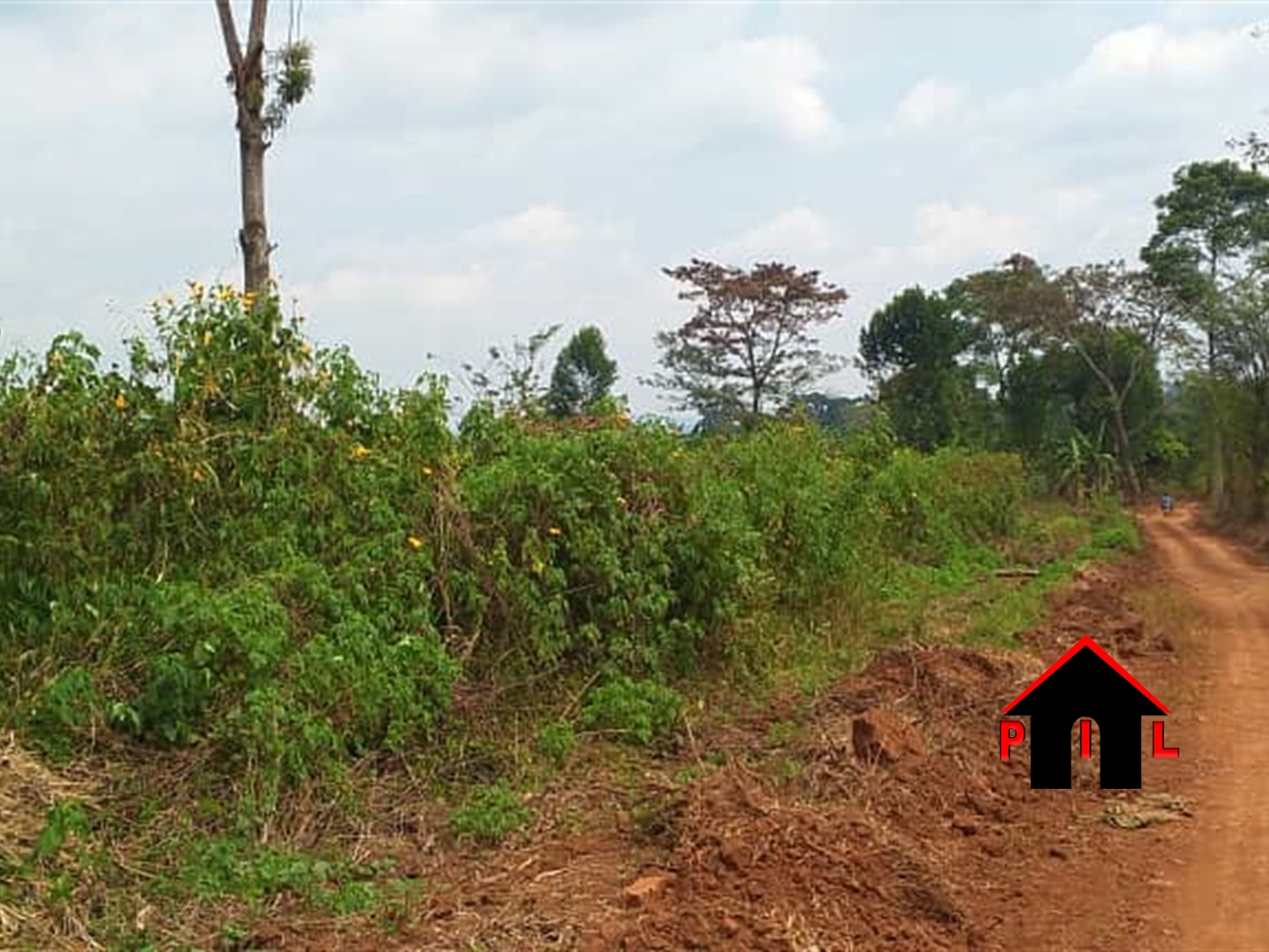 Commercial Land for sale in Mbalala Mukono