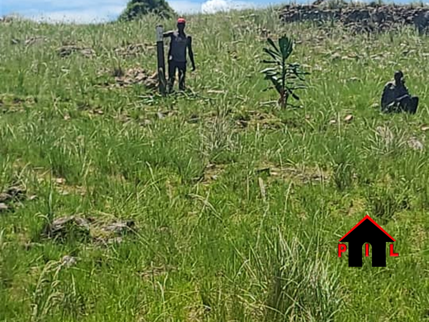 Commercial Land for sale in Mulungii Mukono