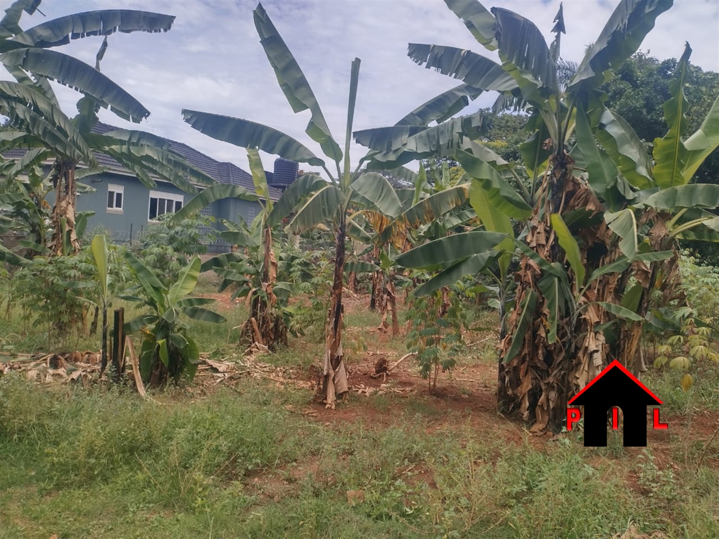 Commercial Land for sale in Munyonyo Kampala