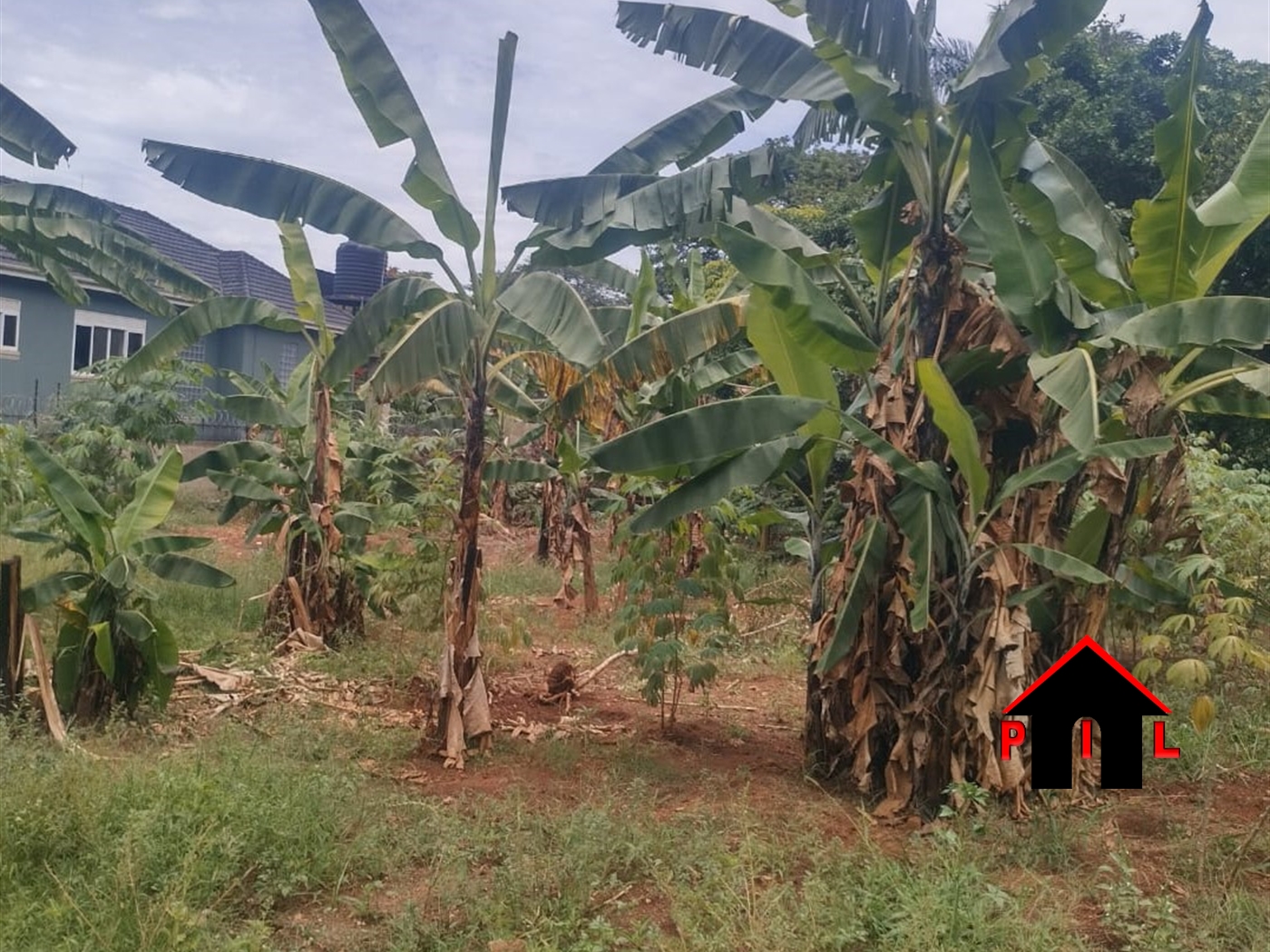 Commercial Land for sale in Munyonyo Kampala