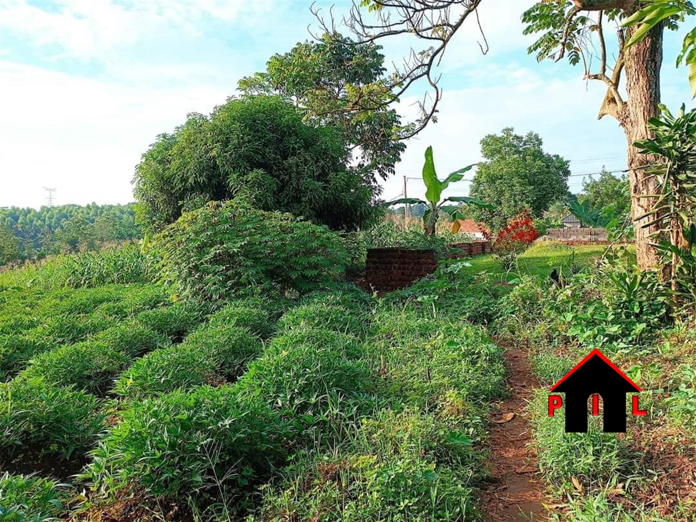 Residential Land for sale in Namugongo Wakiso