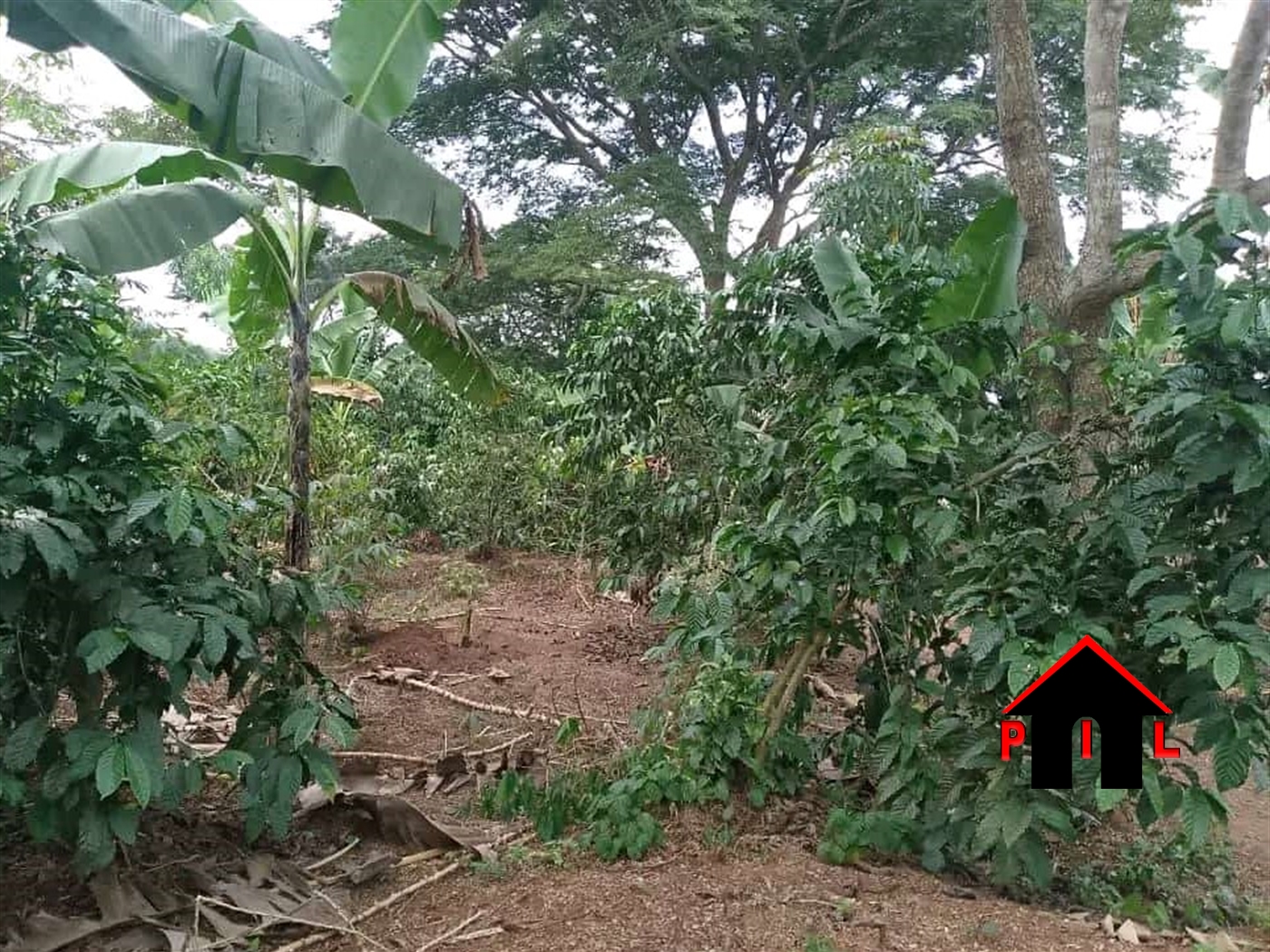 Residential Land for sale in Matugga Wakiso