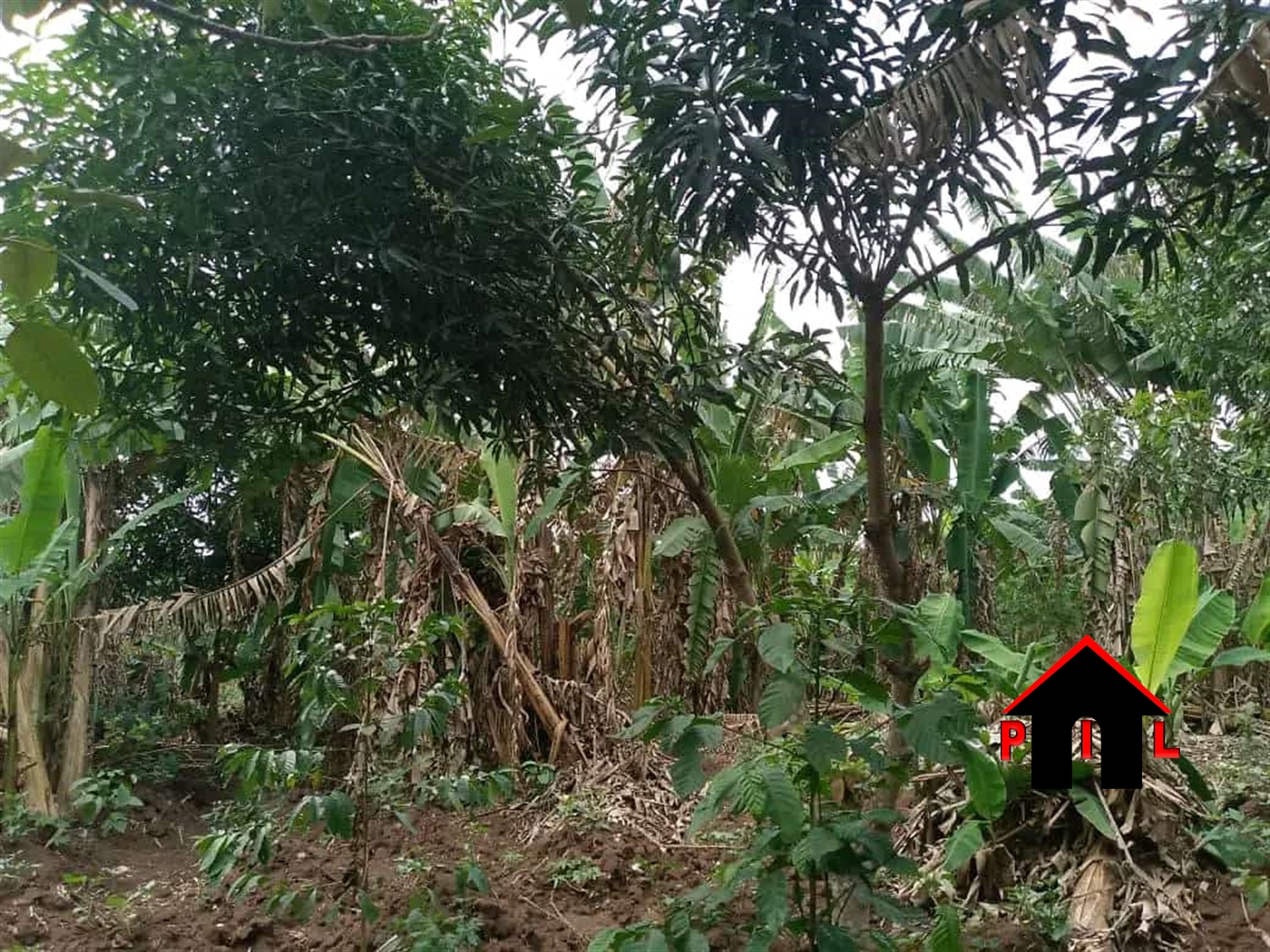 Residential Land for sale in Matugga Wakiso