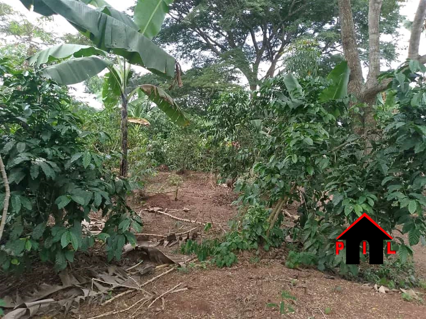 Residential Land for sale in Matugga Wakiso