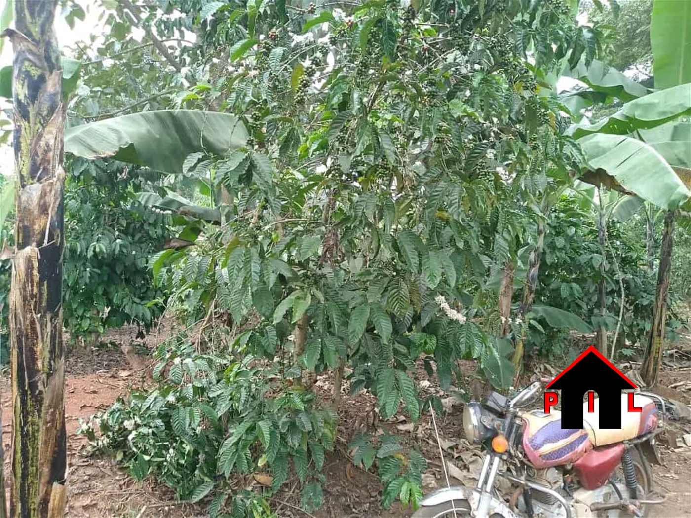 Residential Land for sale in Matugga Wakiso