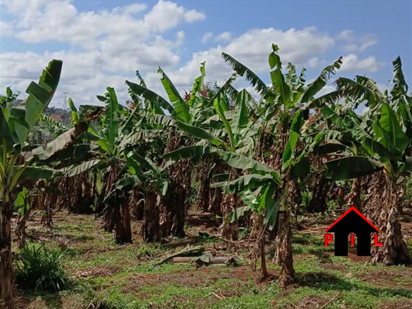 Residential Land for sale in Kira Wakiso