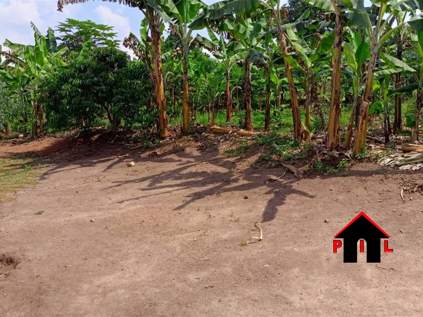 Agricultural Land for sale in Kanyanda Luweero