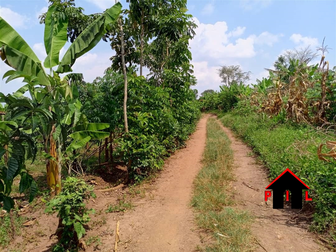 Agricultural Land for sale in Kanyanda Luweero