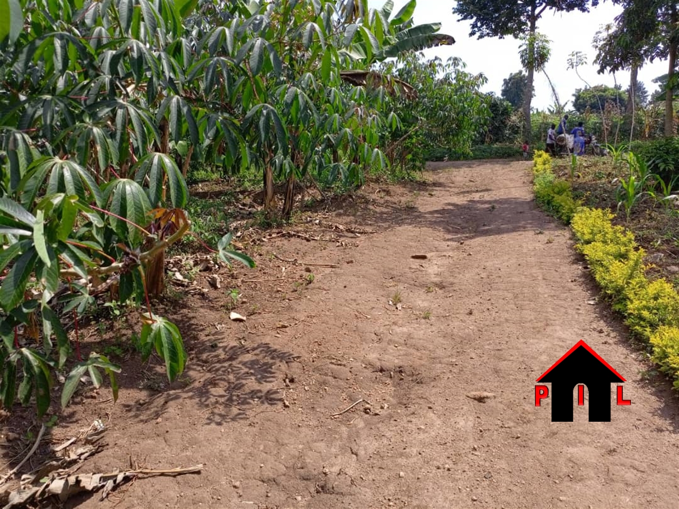 Agricultural Land for sale in Kanyanda Luweero