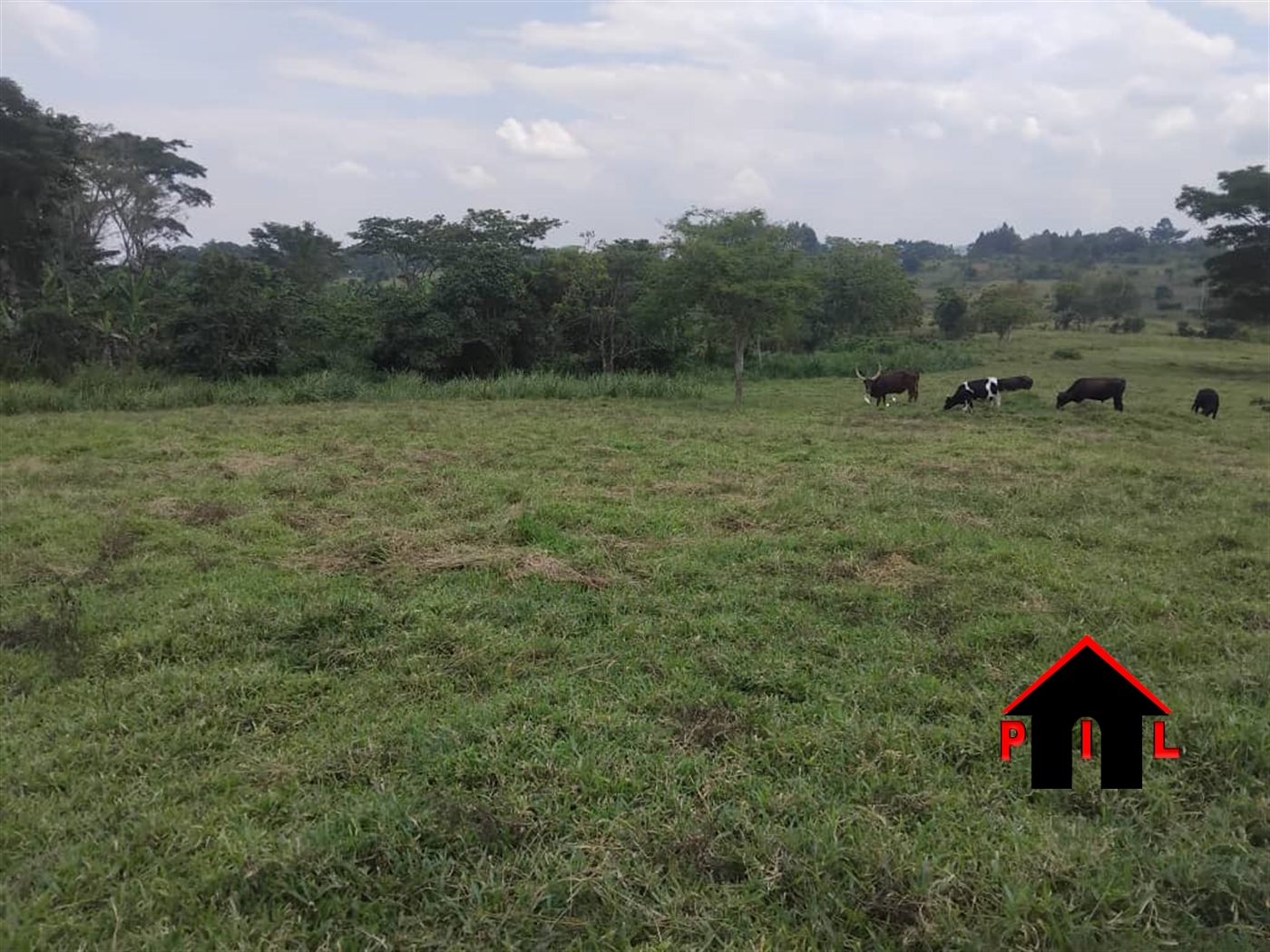 Commercial Land for sale in Ndejje Luweero