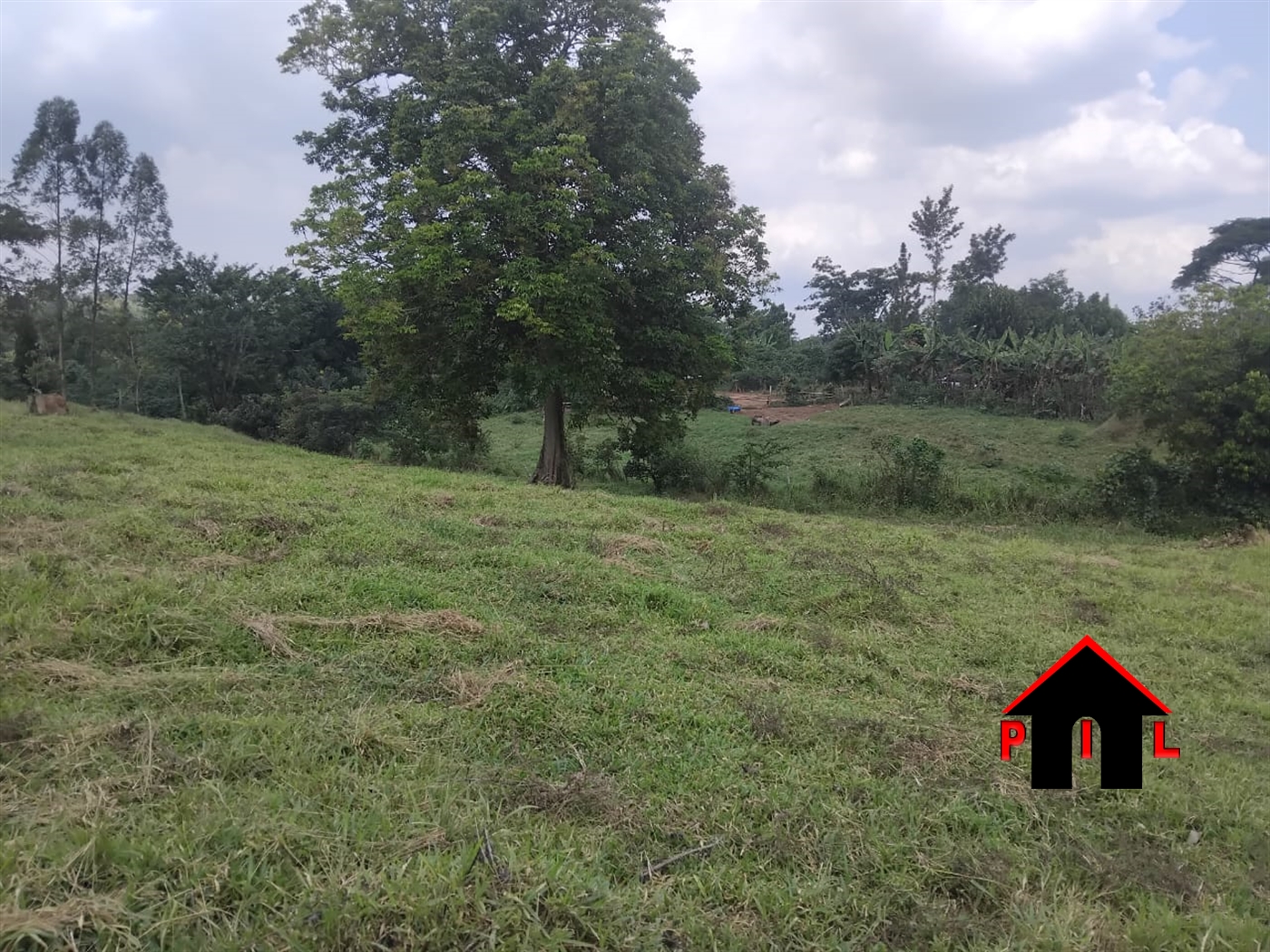 Commercial Land for sale in Ndejje Luweero