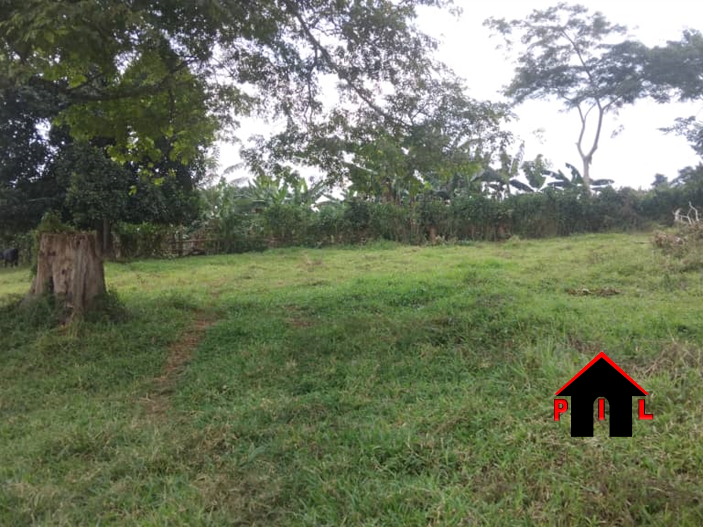 Commercial Land for sale in Ndejje Luweero