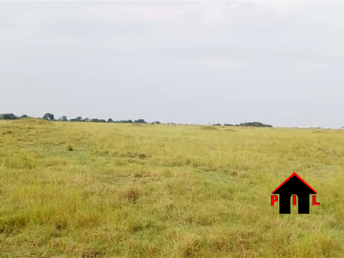 Agricultural Land for sale in Mayugetwn Mayuge