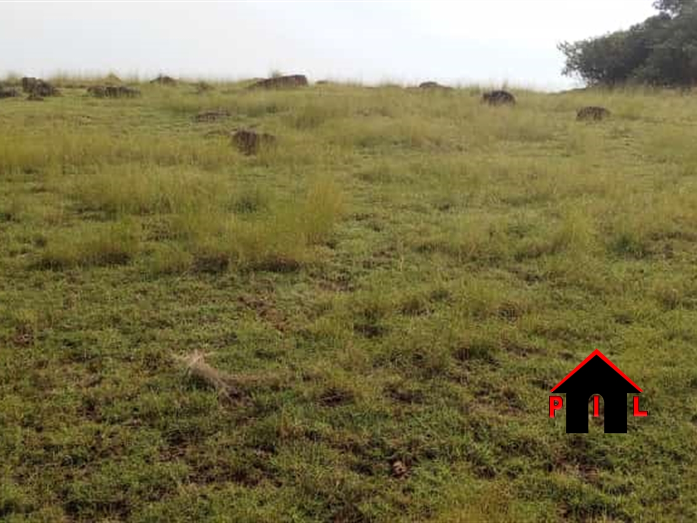 Agricultural Land for sale in Mayugetwn Mayuge