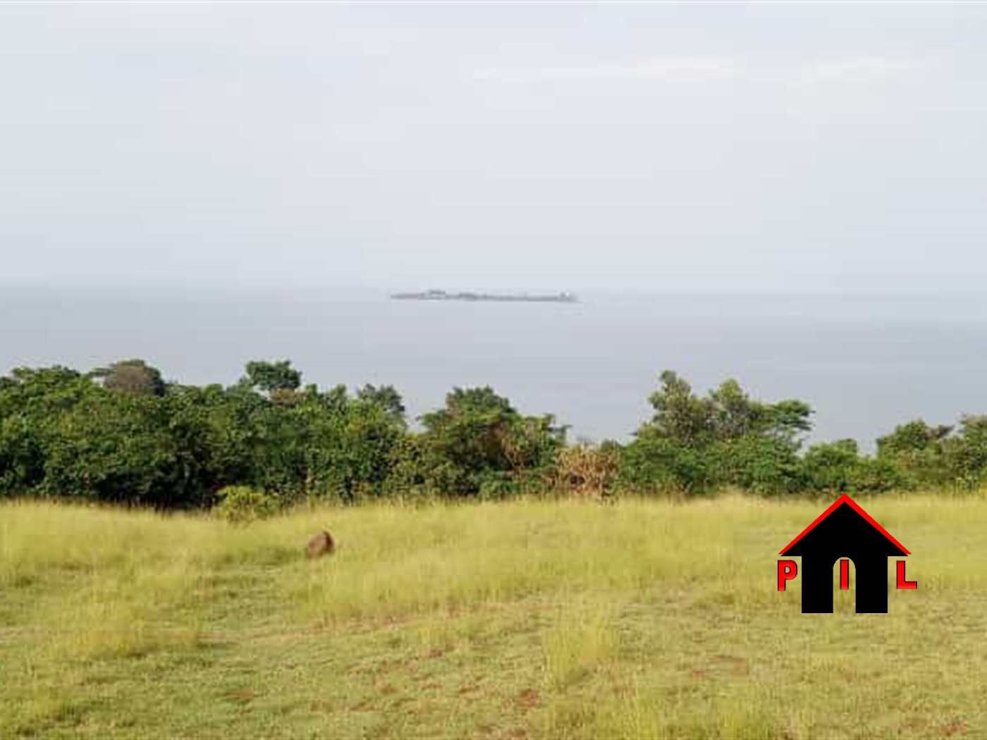 Agricultural Land for sale in Mayugetwn Mayuge