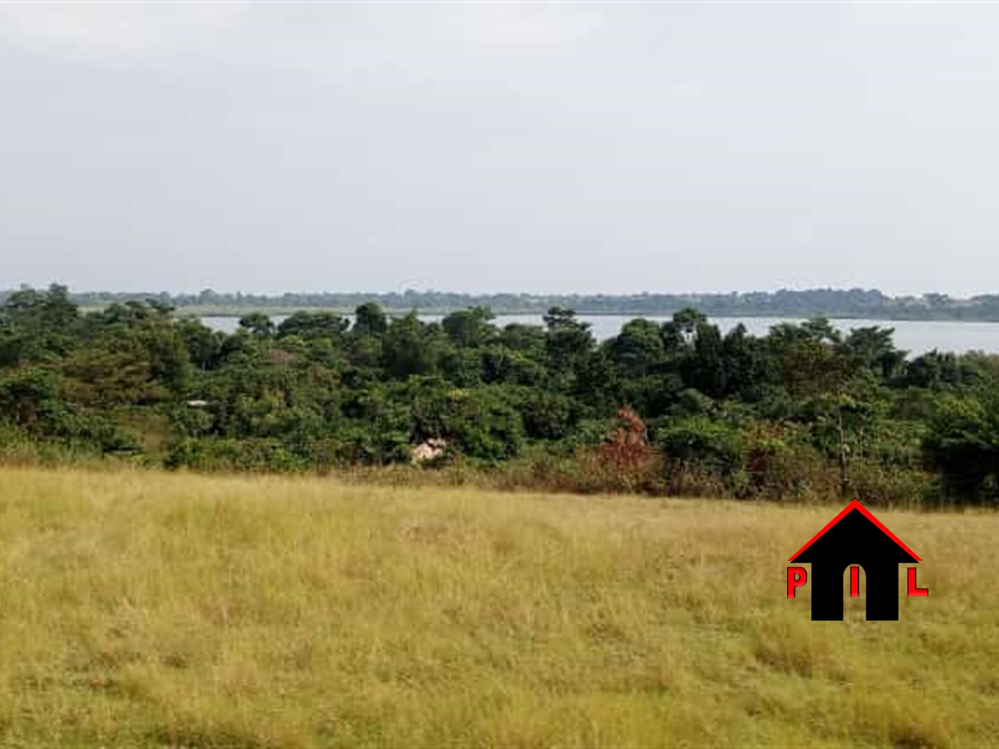 Agricultural Land for sale in Mayugetwn Mayuge