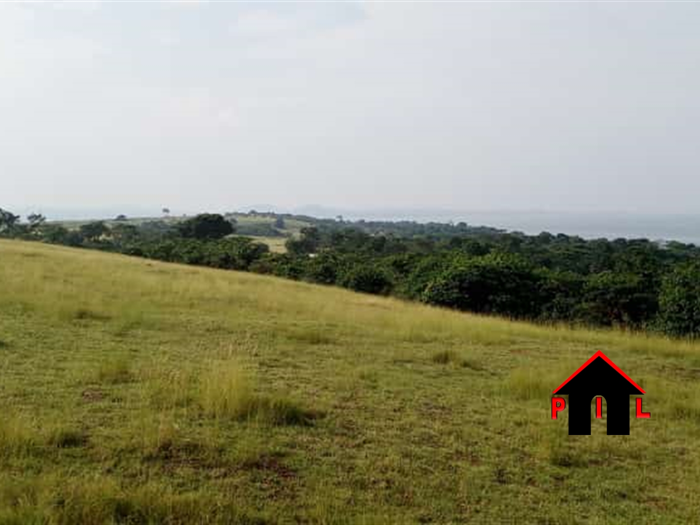 Agricultural Land for sale in Mayugetwn Mayuge