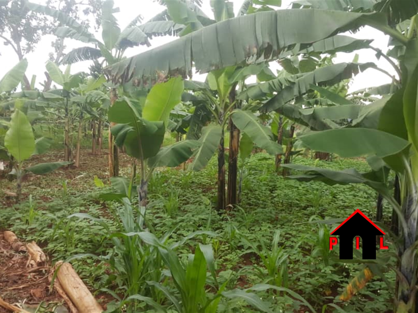 Residential Land for sale in Busiika Luweero