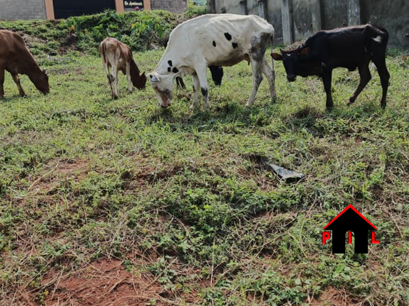 Residential Land for sale in Kyanja Kampala