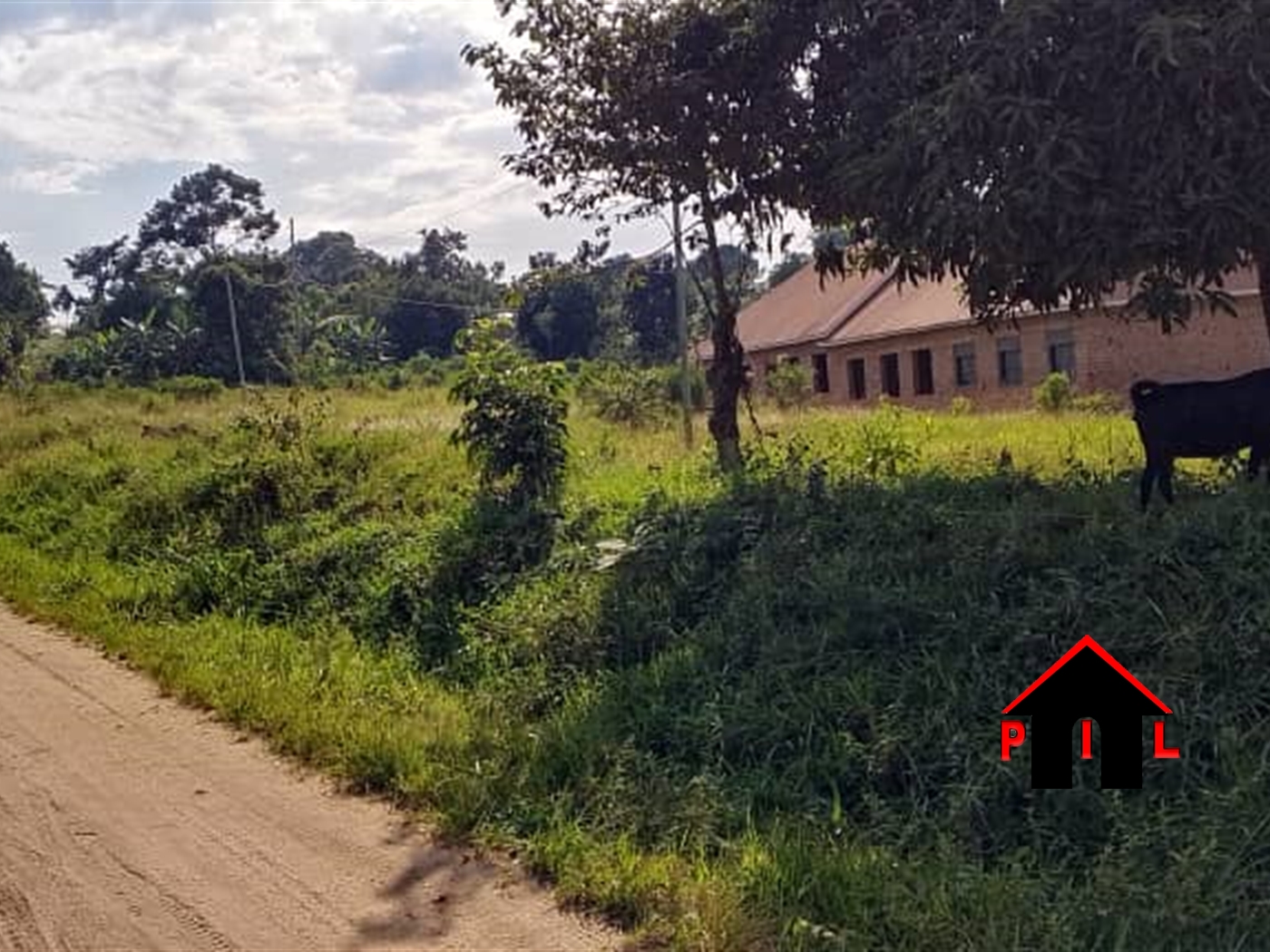 School for sale in Ndejje Kampala