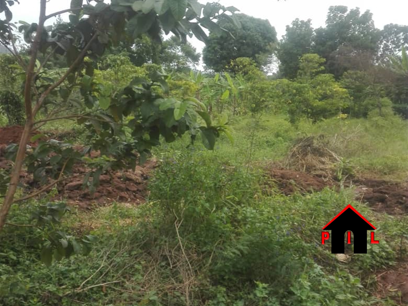 Residential Land for sale in Wobulenzi Luweero