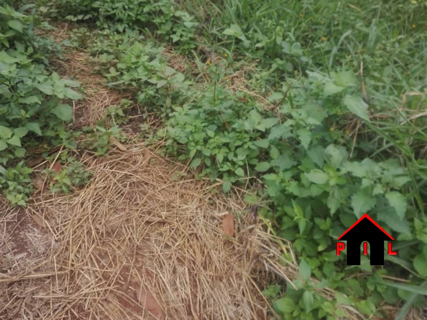 Residential Land for sale in Wobulenzi Luweero