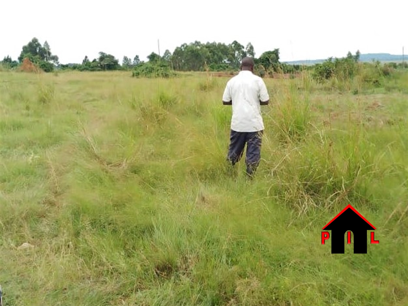 Agricultural Land for sale in Kasanjje Wakiso