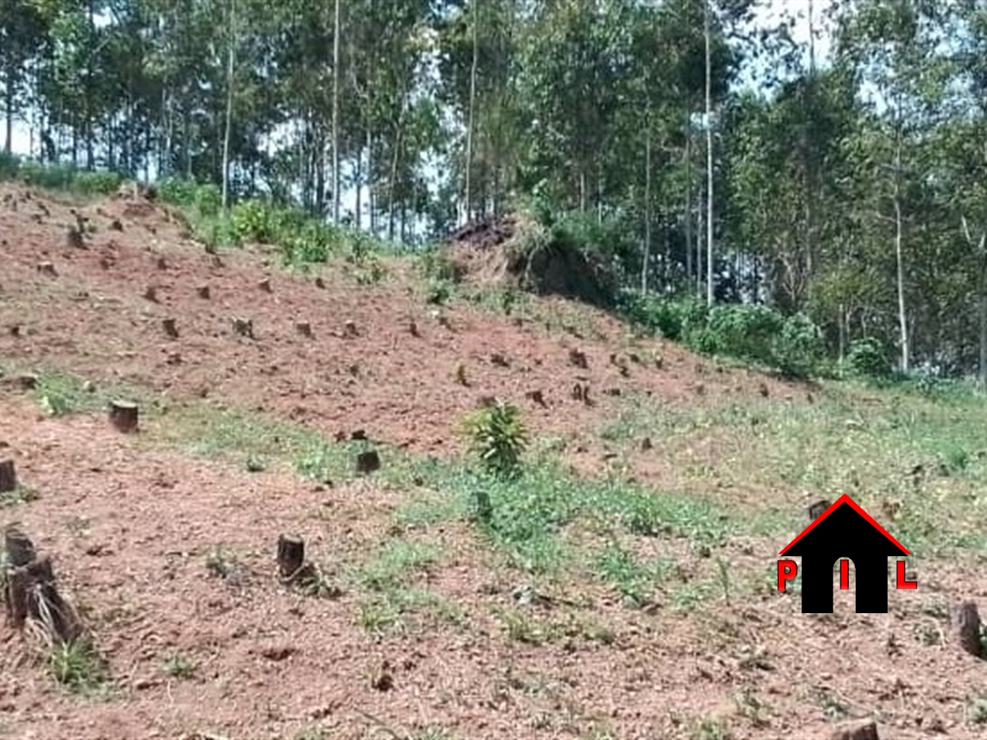 Commercial Land for sale in Nakabiso Wakiso