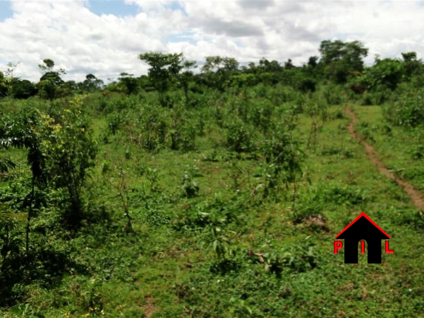 Commercial Land for sale in Busiro Wakiso