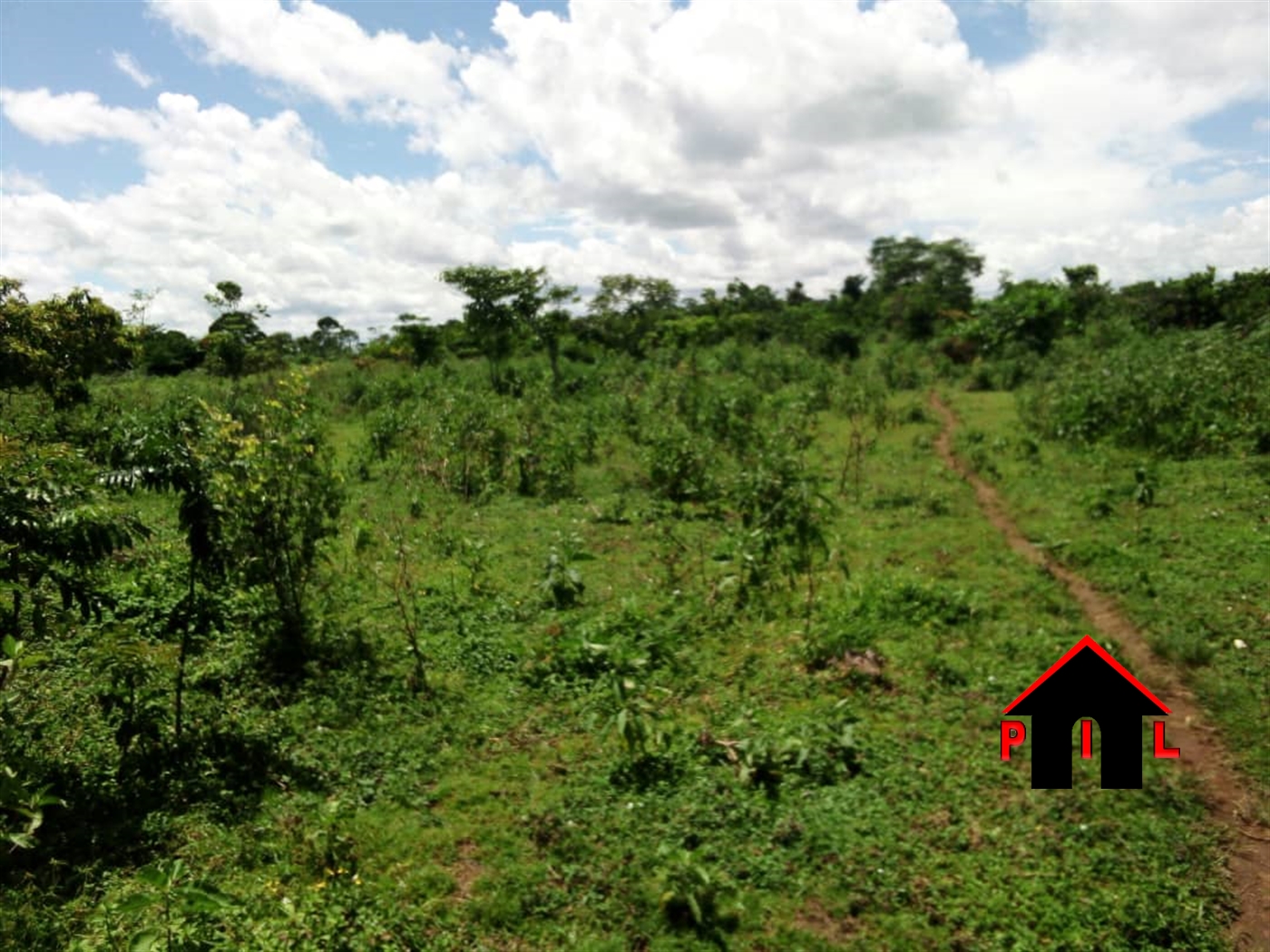 Commercial Land for sale in Busiro Wakiso