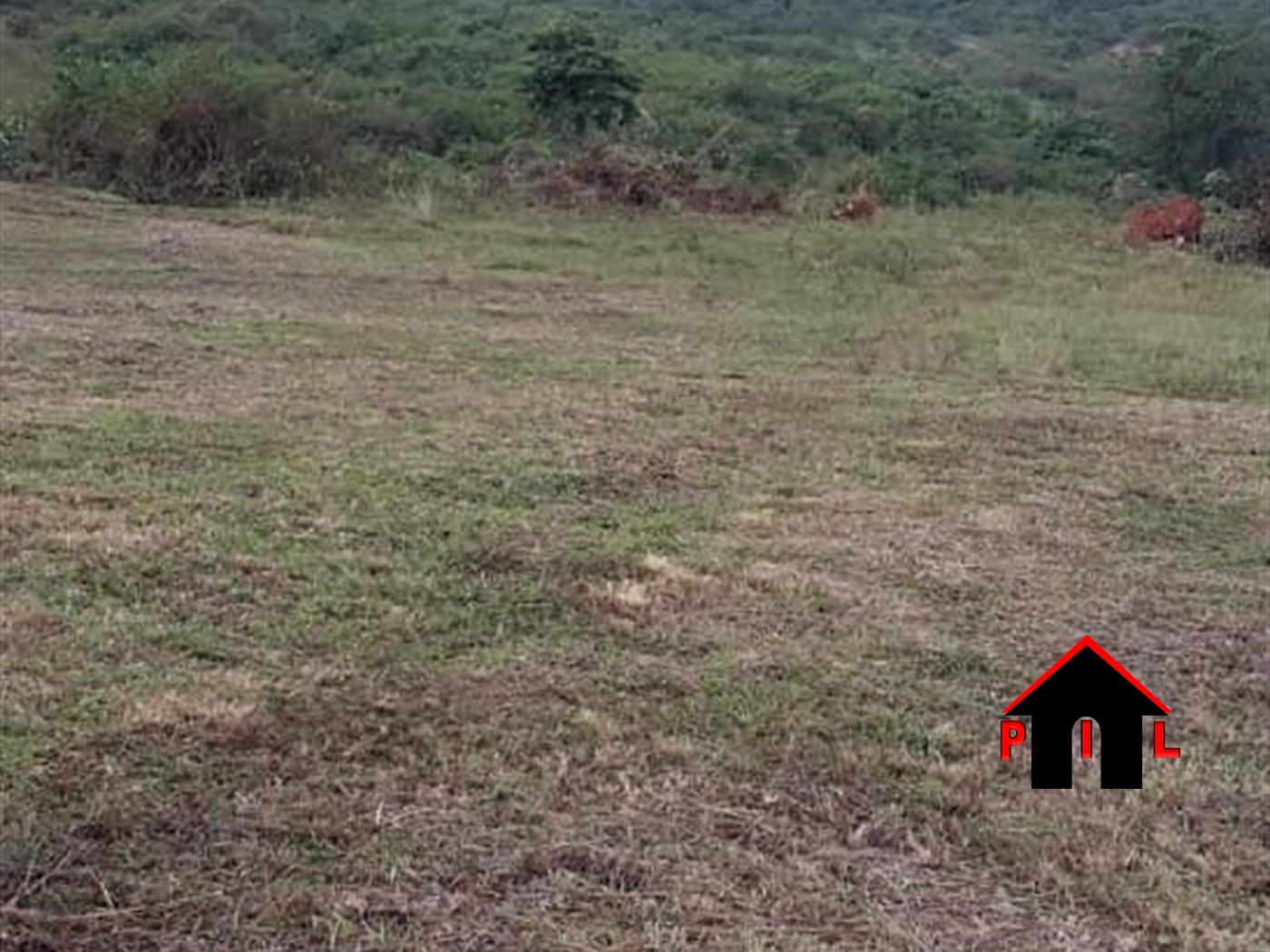 Commercial Land for sale in Kalagi Mukono